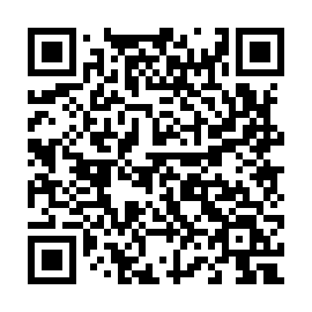 QR code for T60-96L