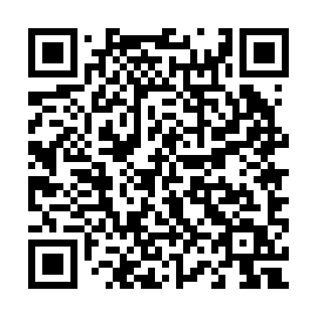 QR code for T6529T