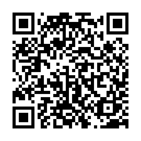 QR code for T66-19S