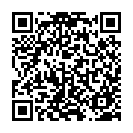 QR code for T66-29G