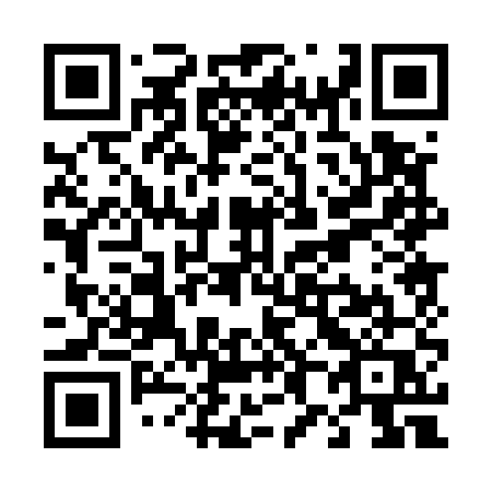 QR code for T80-55Q