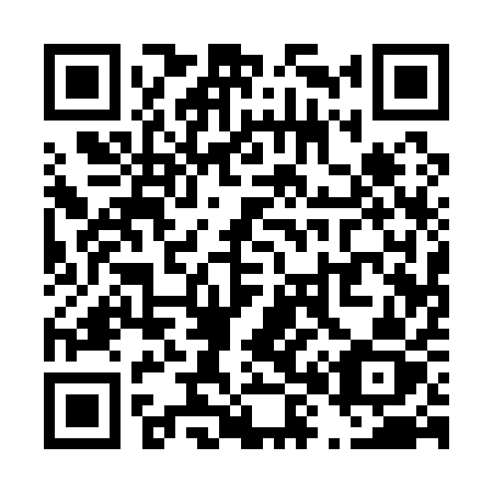 QR code for T81-11Z