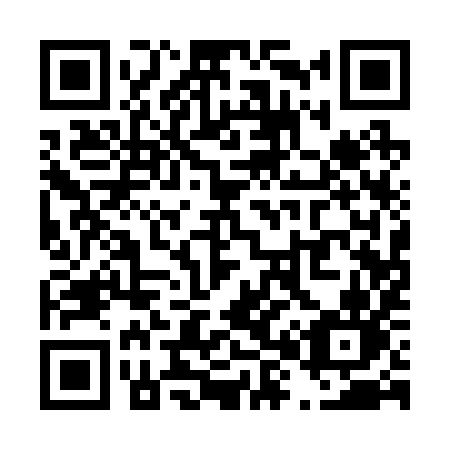 QR code for T81-29N