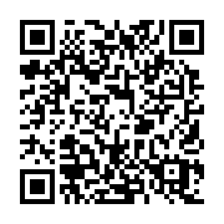 QR code for T81-31U