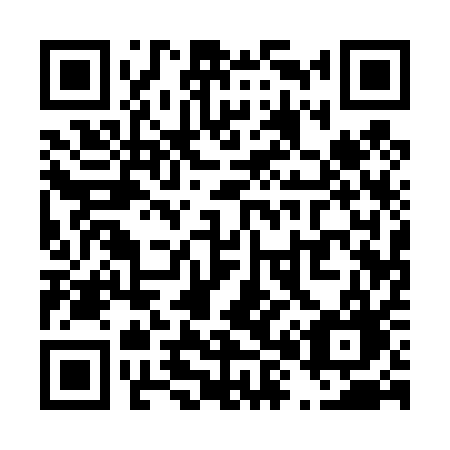 QR code for T81-41G