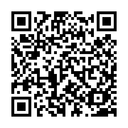 QR code for T8241M