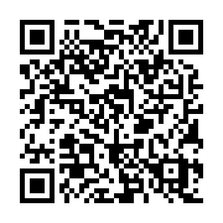 QR code for T85-82X