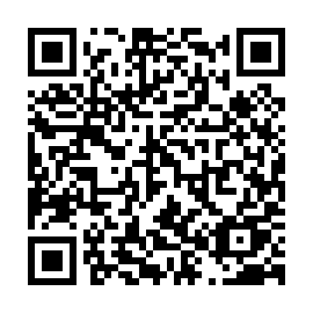 QR code for plate T85-09U