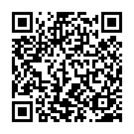 QR code for plate T85-41S