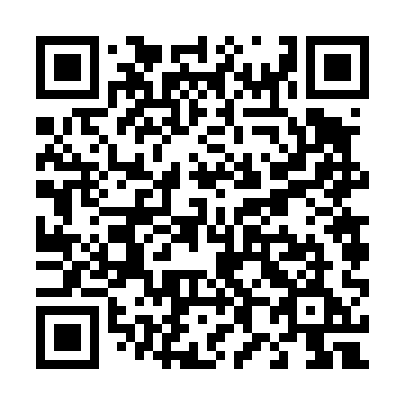 QR code for T86-41E