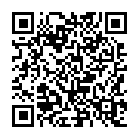 QR code for T88-29H