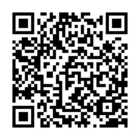 QR code for T8895P