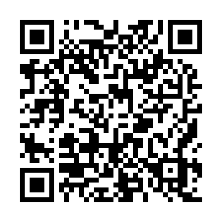 QR code for T89-96Z