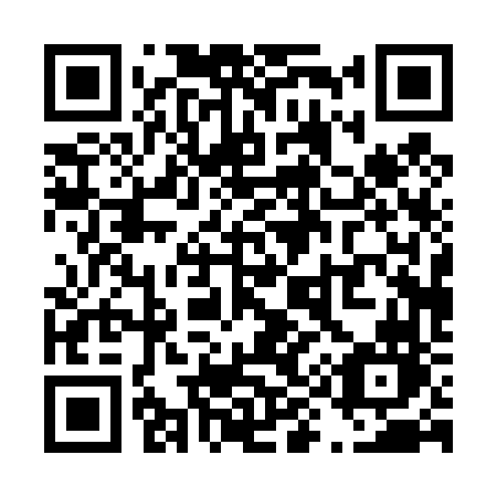 QR code for T9046N