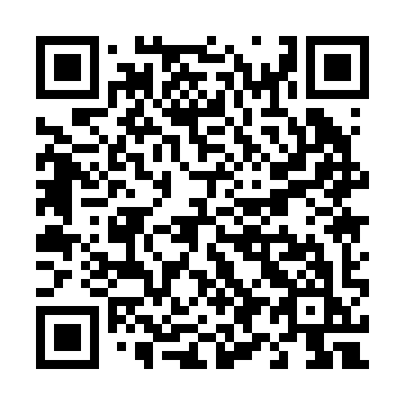 QR code for T91-29K