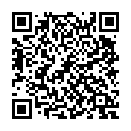 QR code for T91-43B