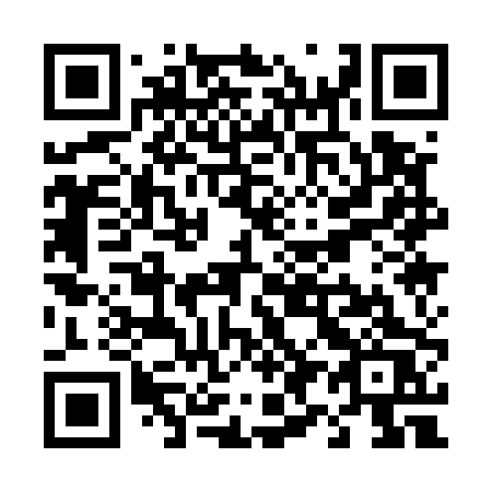 QR code for T91-50S