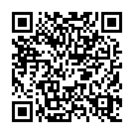 QR code for T91-80X