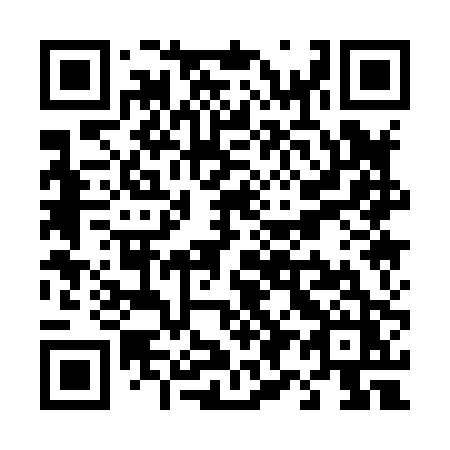 QR code for T91-80Z