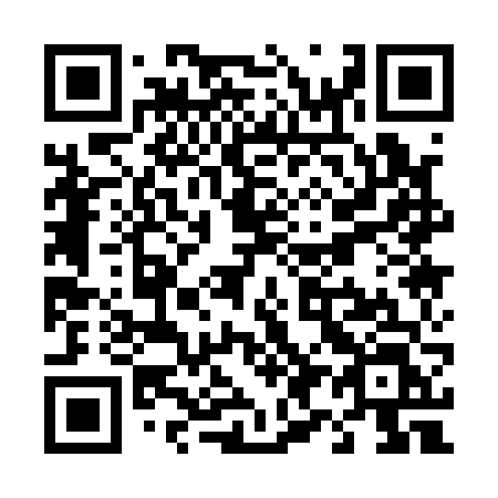 QR code for plate T91-16L