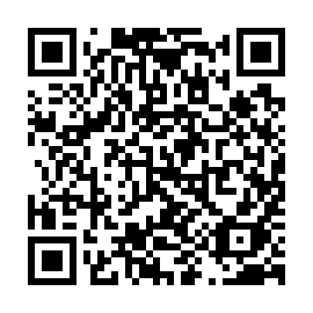 QR code for T9179H