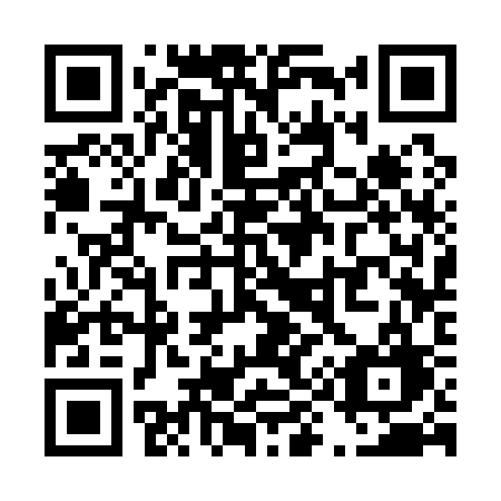 QR code for T93-13G