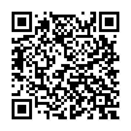 QR code for T95-10S