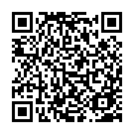 QR code for T95-14E