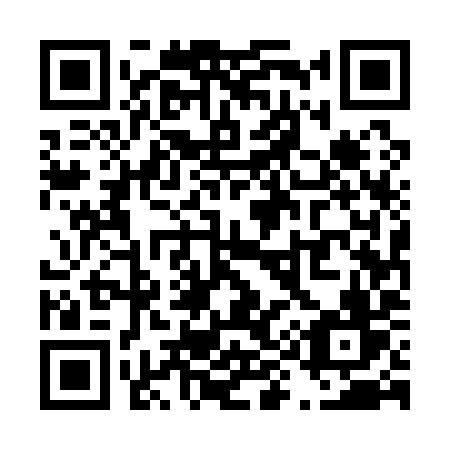 QR code for T95-19V