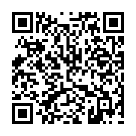 QR code for T95-35A