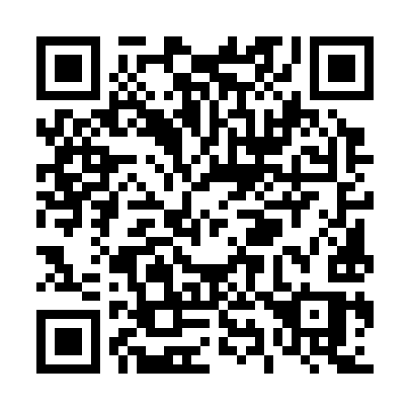 QR code for T95-39S