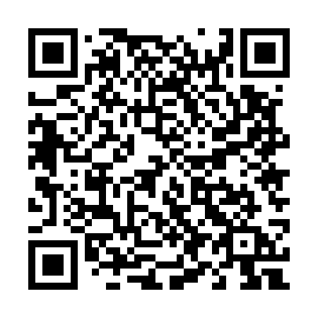 QR code for T95-53A