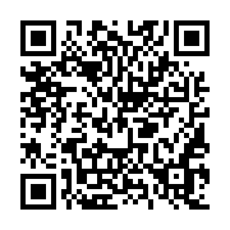 QR code for T95-55N