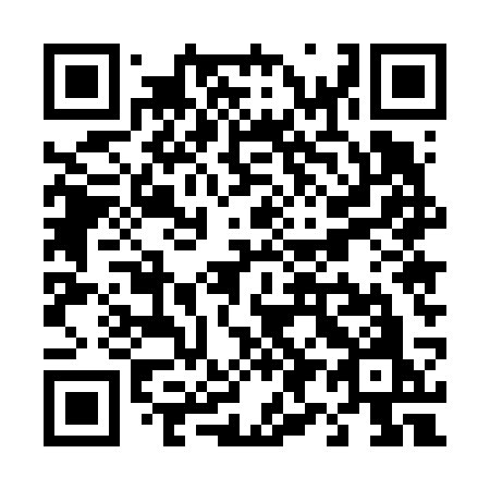 QR code for T95-63O