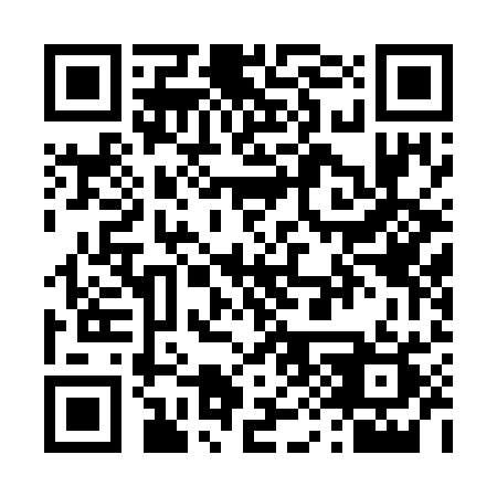 QR code for T95-70Q