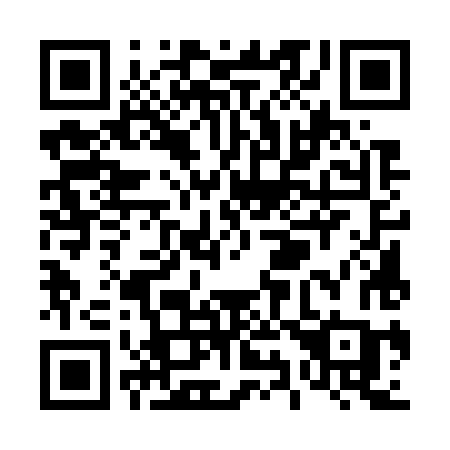 QR code for T95-78C