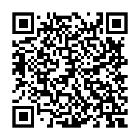 QR code for T95-85M