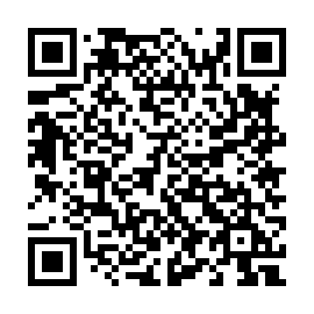 QR code for T95-86E