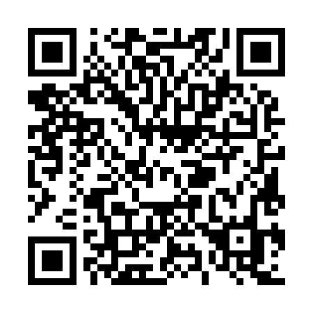 QR code for plate T95-98O