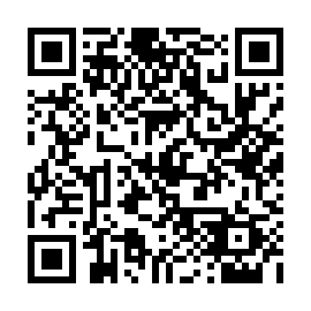 QR code for T96-59Q