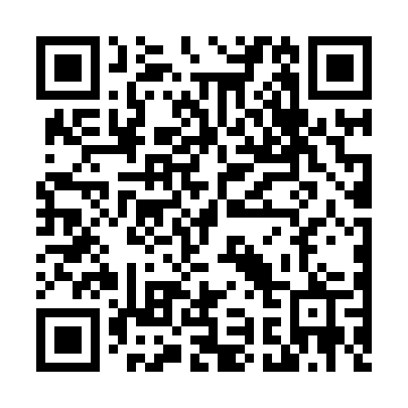 QR code for T96-87P