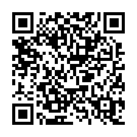 QR code for plate T96-23D