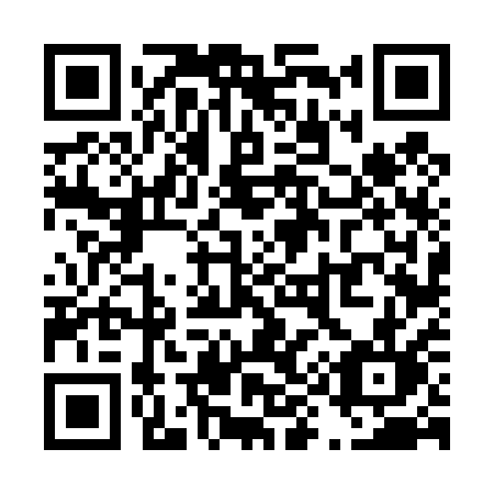 QR code for T9641L