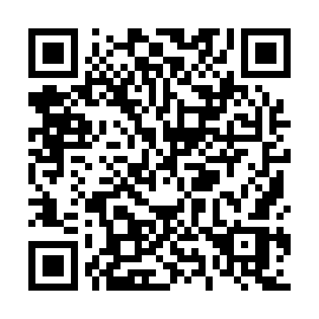 QR code for plate T99-17R