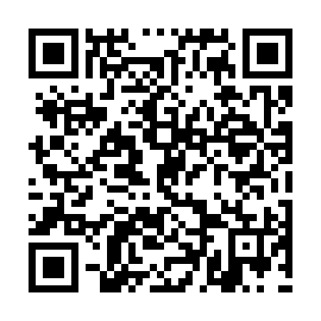 QR code for plate TDD-395