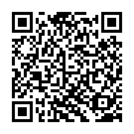 QR code for TDG-229