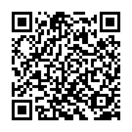 QR code for plate TDG-209