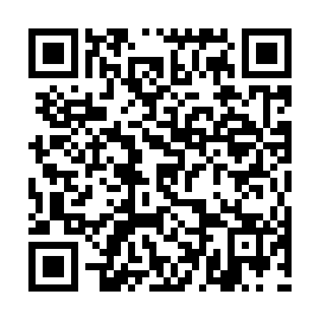 QR code for plate TDM-943