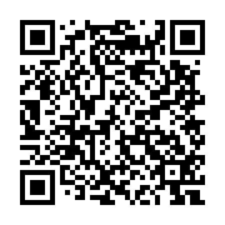 QR code for plate TFG-513