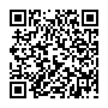 QR code for THN919
